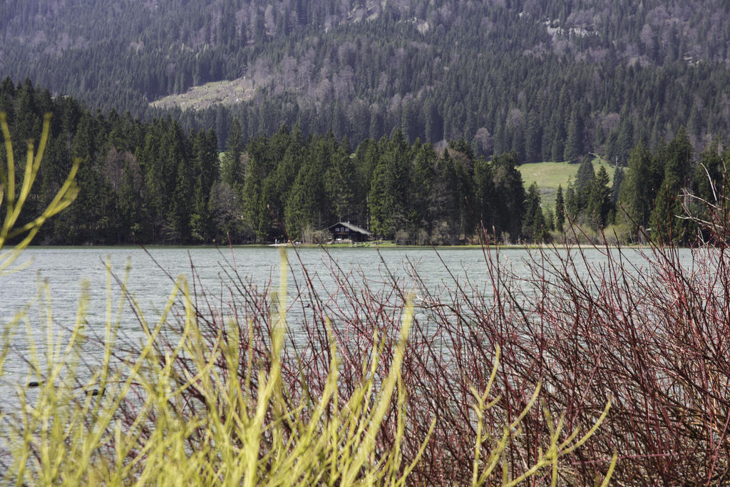 Berggasthof Willy Merkl Haus ชปิตซิงซี ภายนอก รูปภาพ