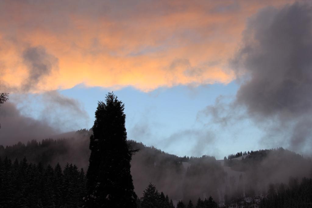 Berggasthof Willy Merkl Haus ชปิตซิงซี ภายนอก รูปภาพ